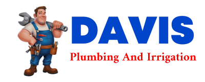 Trusted plumber in BORGER